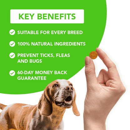 FurLife™ - All Natural Flea & Tick Defense Chews for Dogs